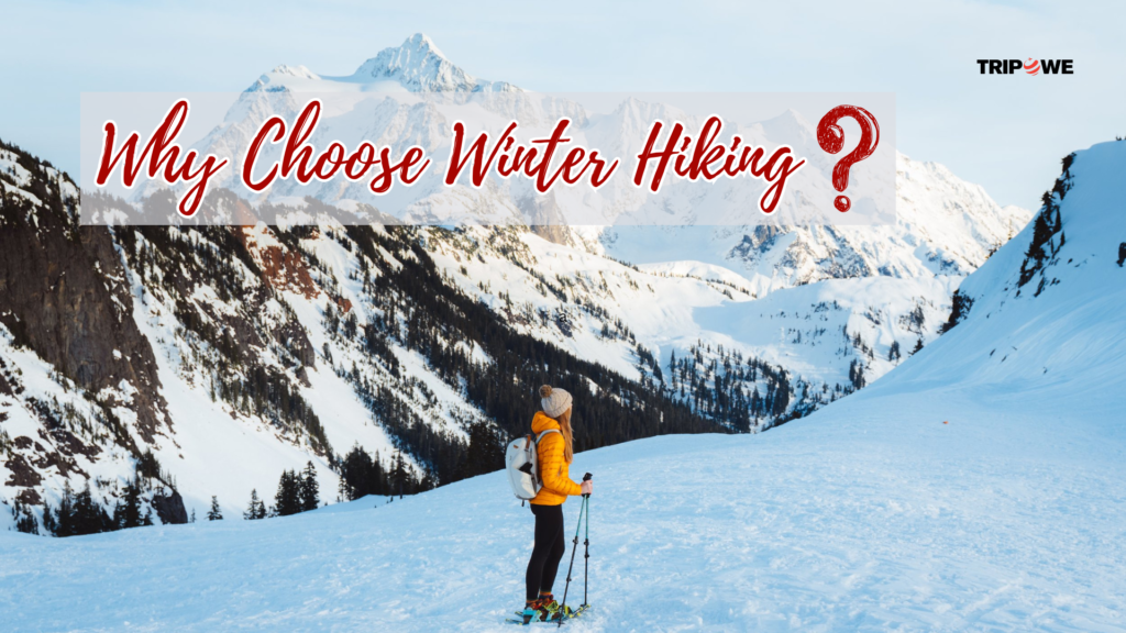 Best Hiking Trails for Winter Adventures Tripowe.com