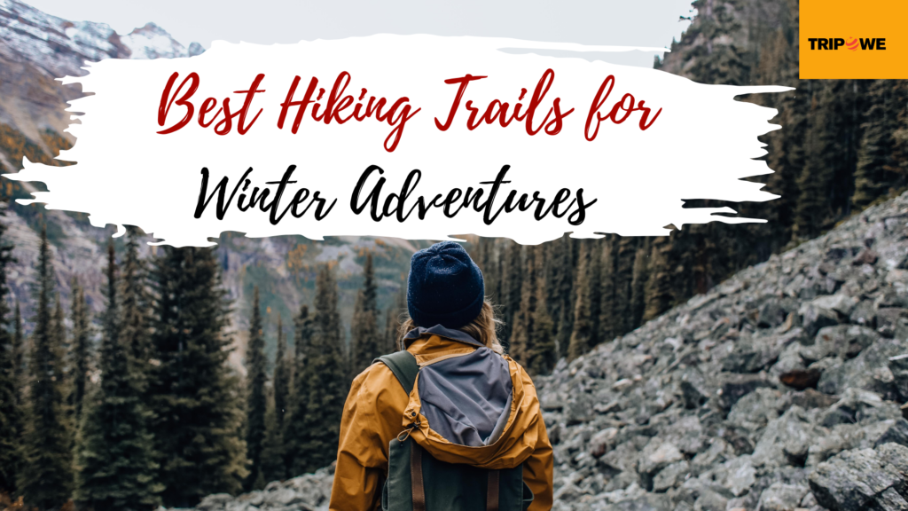 Best Hiking Trails for Winter Adventures Tripowe.com