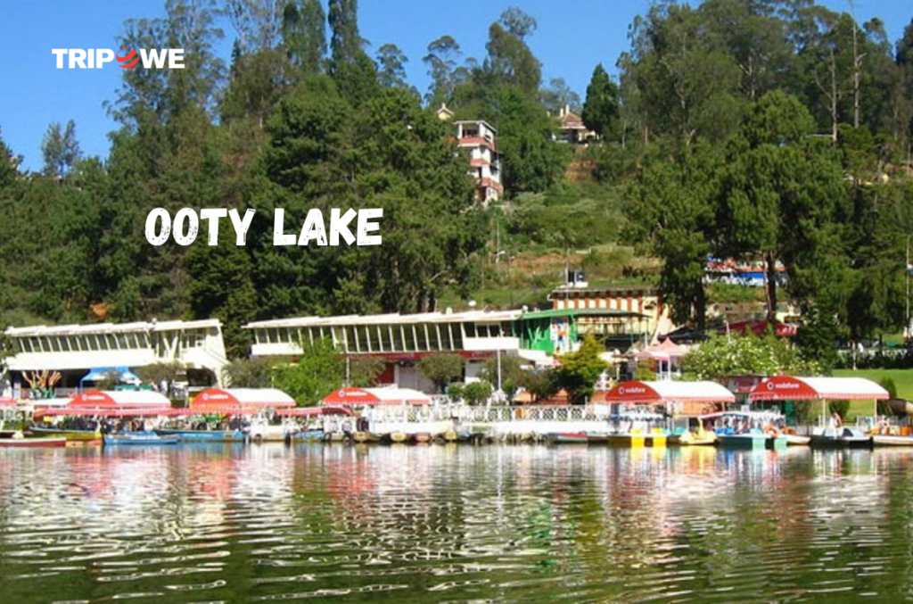 Top Attractions in Ooty