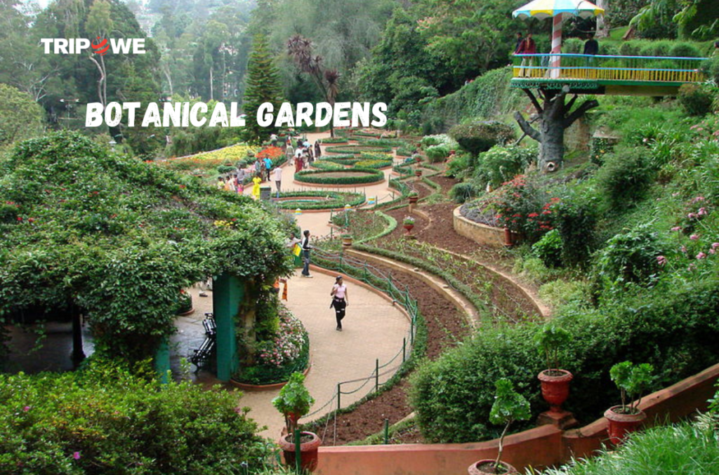 Top Attractions in Ooty