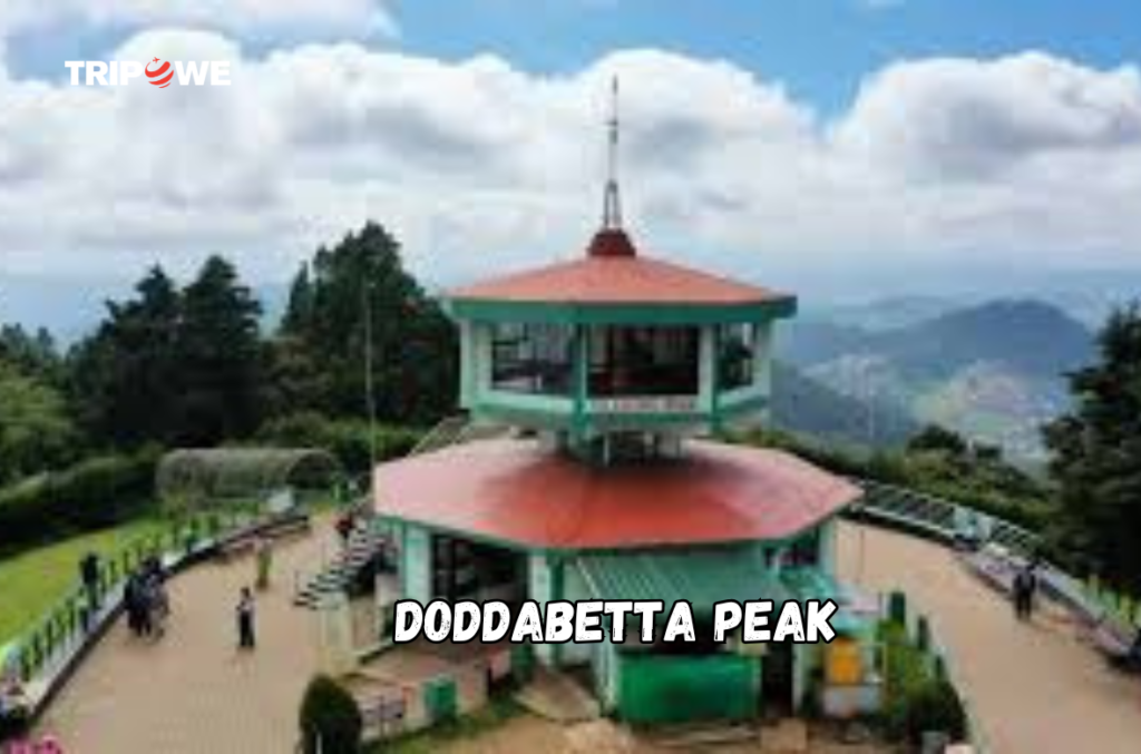 Top Attractions in Ooty 