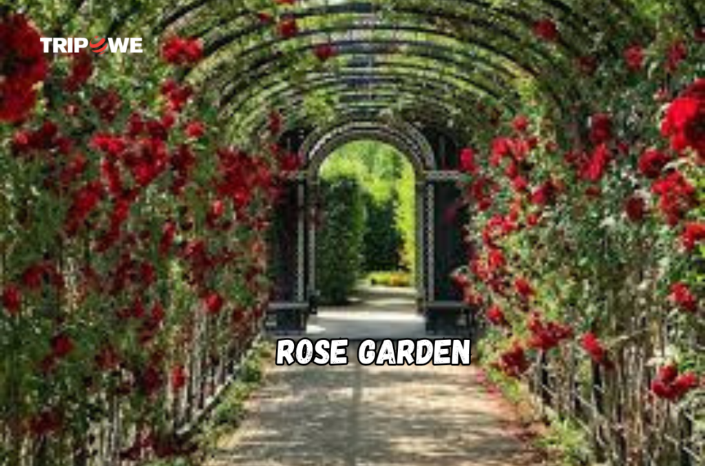 Rose Garden tripowe.com