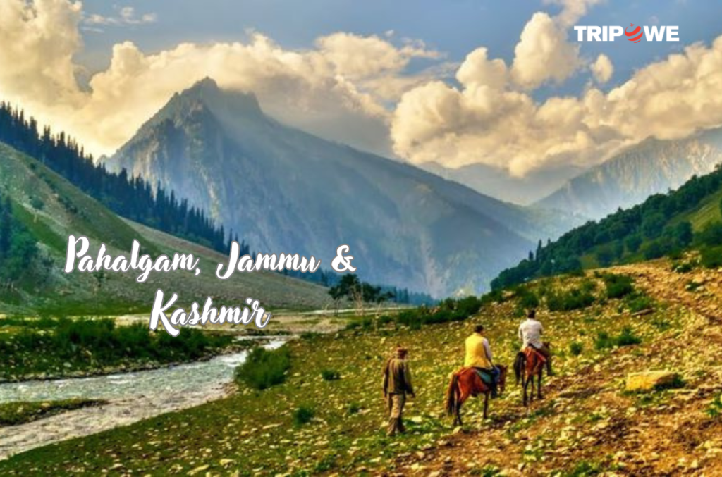 Pahalgam, Jammu & Kashmir tripowe.com