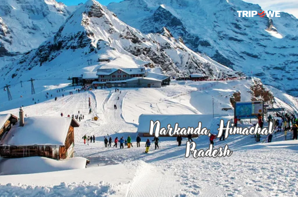 Narkanda, Himachal Pradesh tripowe.com