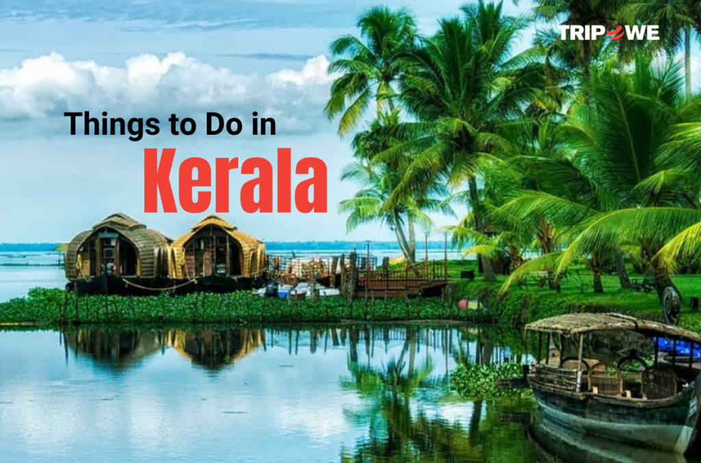 Things to Do in Kerala