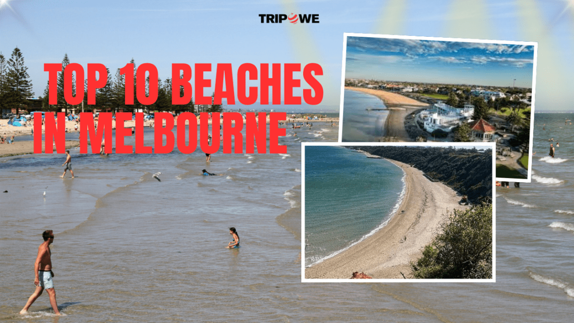 Top 10 Beaches in Melbourne