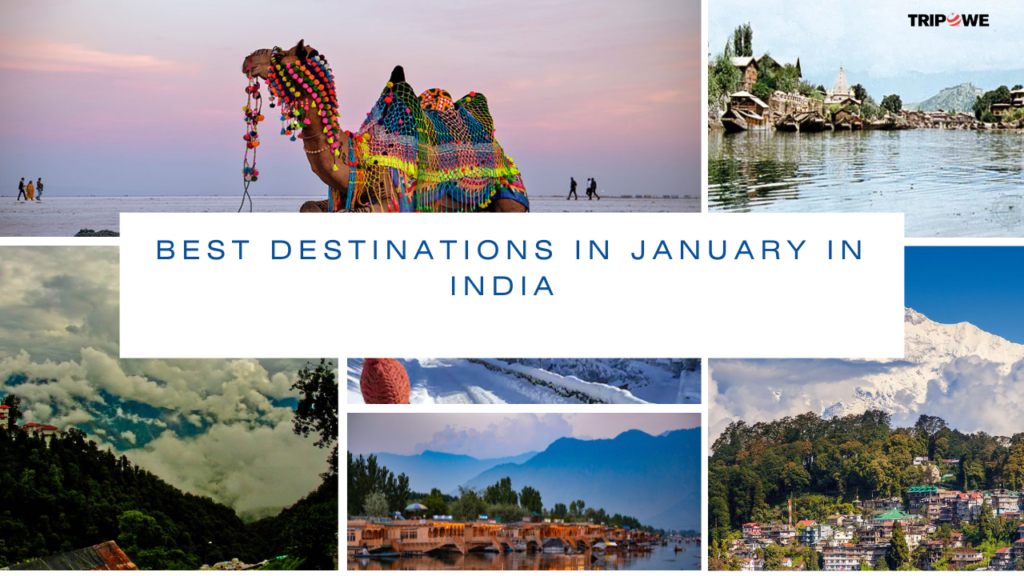 Best destinations in January in india : Definitely visit here during winter season