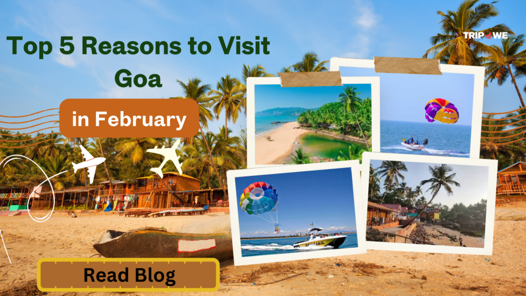 Top 8 reason to visit goa in february -Tripowe.com