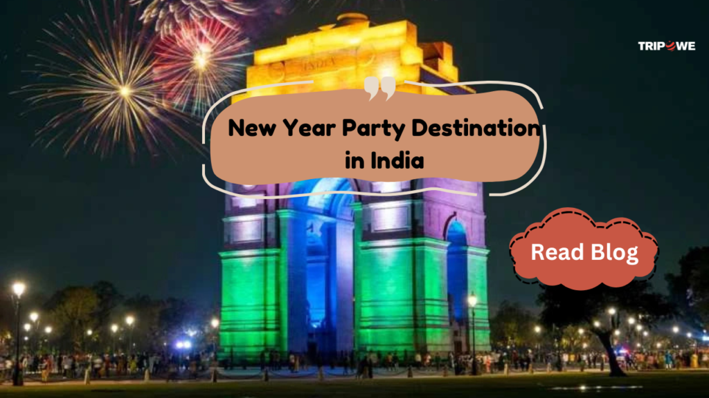 New Year Party Destination In india-Tripowe.com