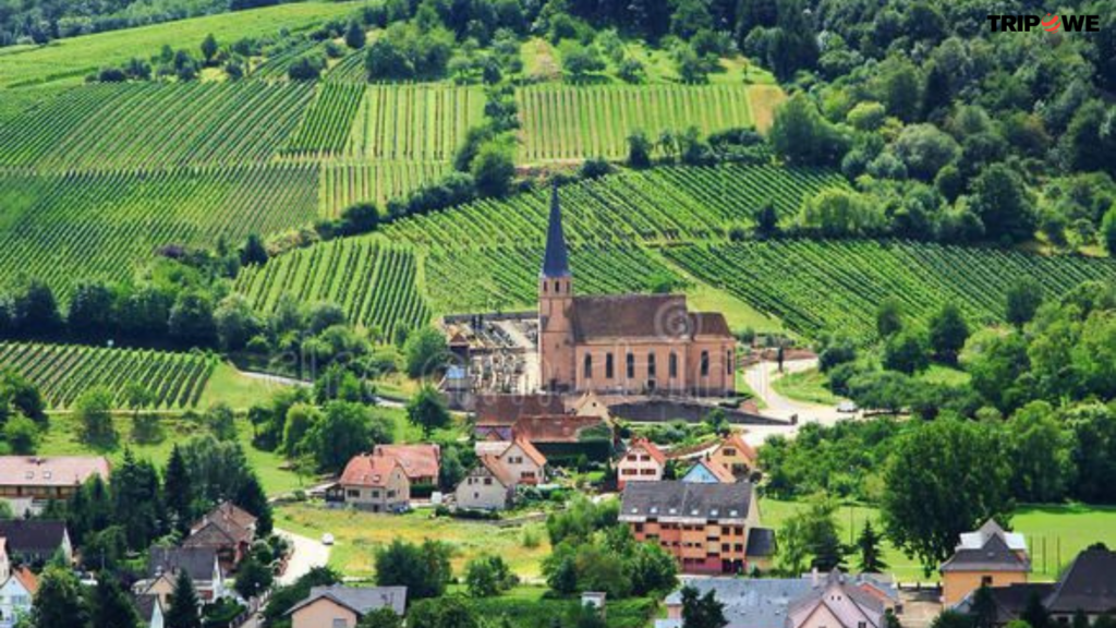 Alsace