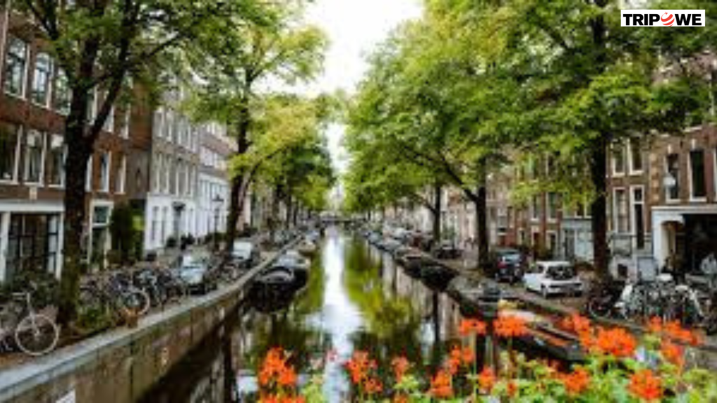 Explore the Best Places to visit in Netherlands