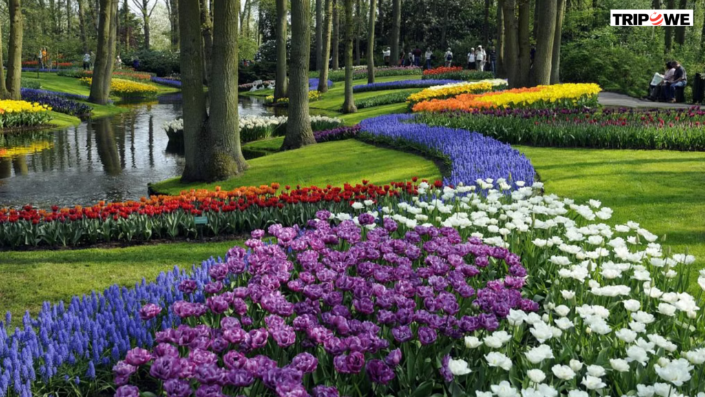 Keukenhof Gardens: