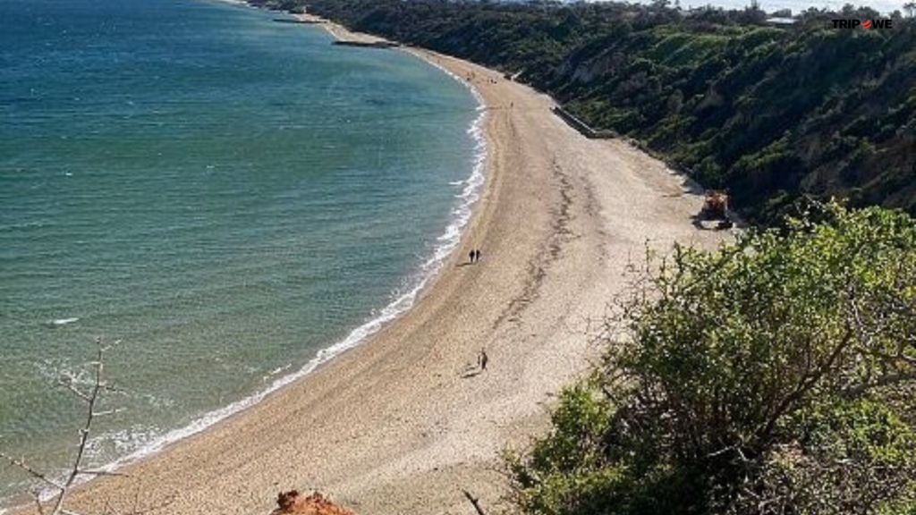 Top 10 Beaches in Melbourne