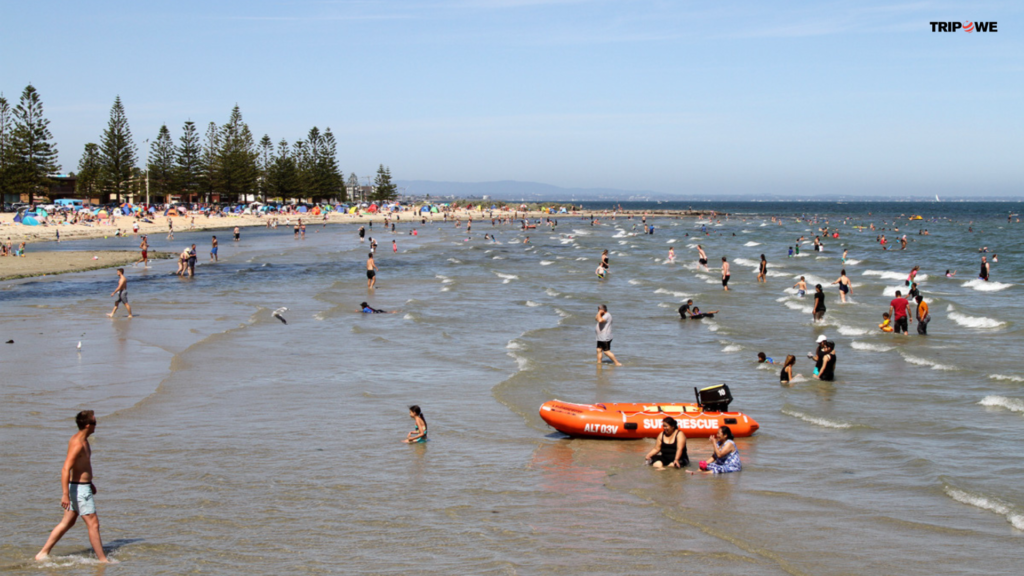 Top 10 Beaches in Melbourne