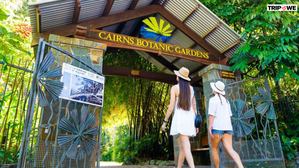 Top Things to Do in Cairns