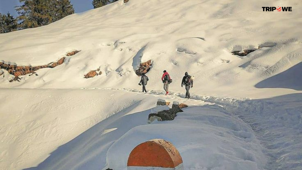 Winter Trekking in India