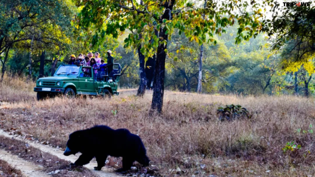 "Satpura National Park