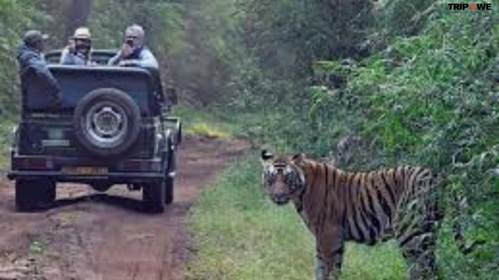 "Satpura National Park