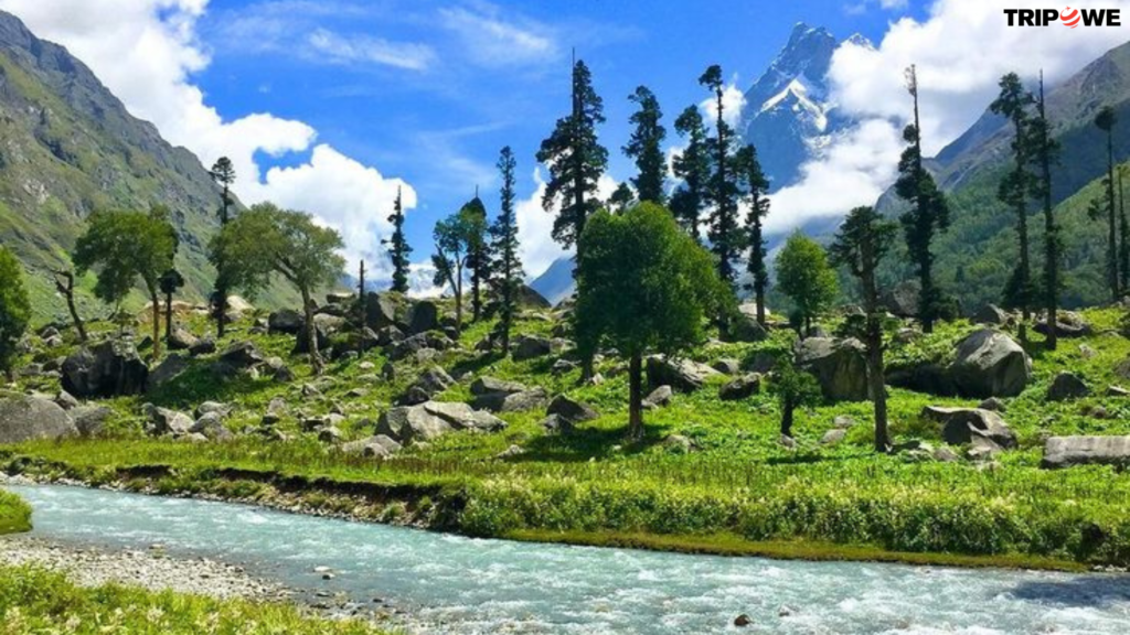 Winter Trekking in India