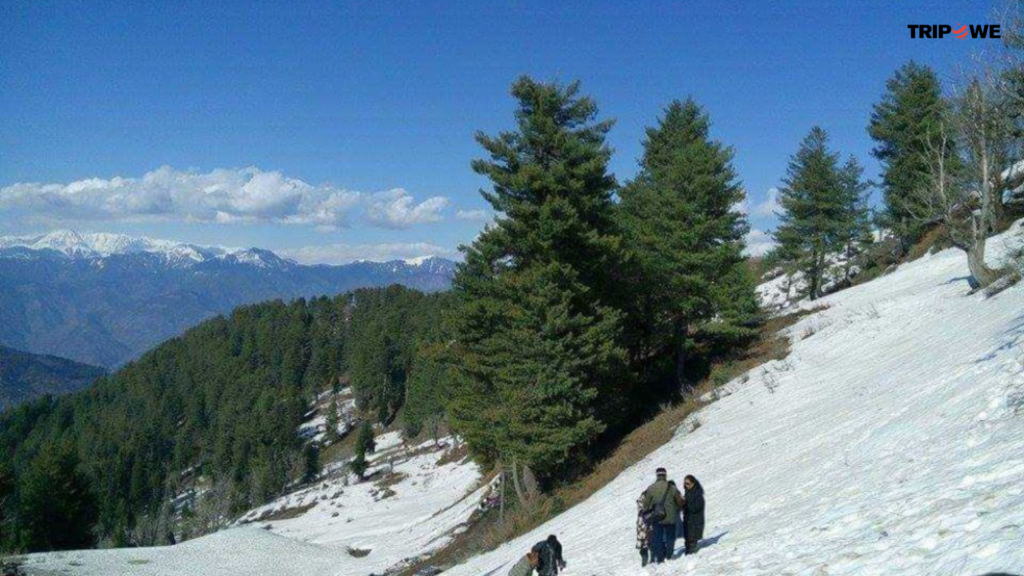 Places to visit in Patnitop