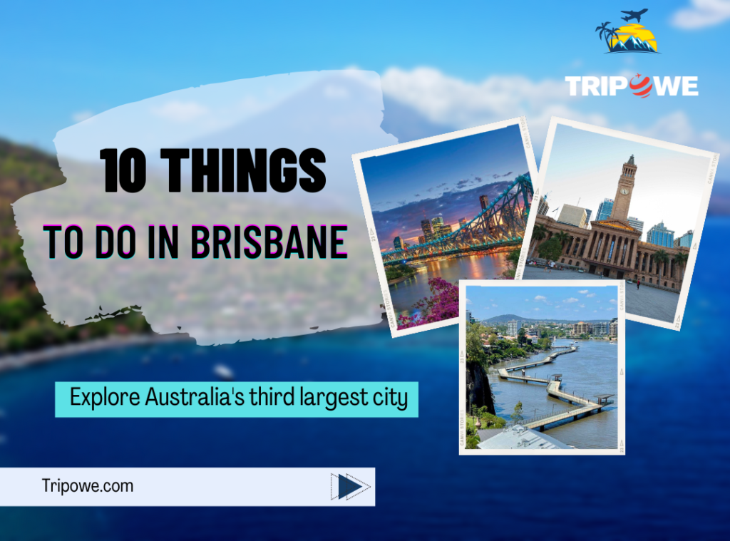 10 Things To Do In Brisbane