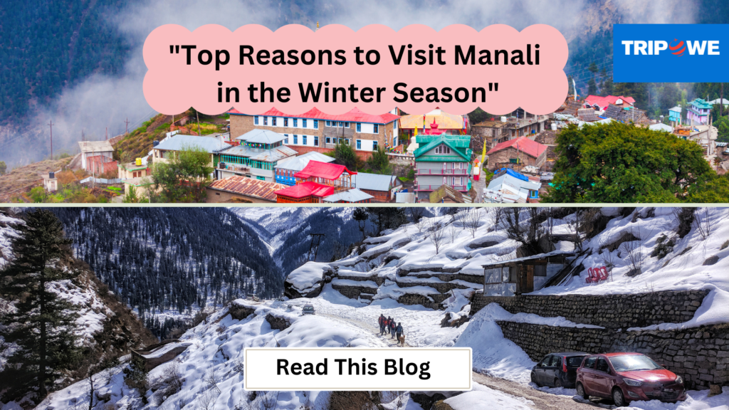 visit manali in winter season