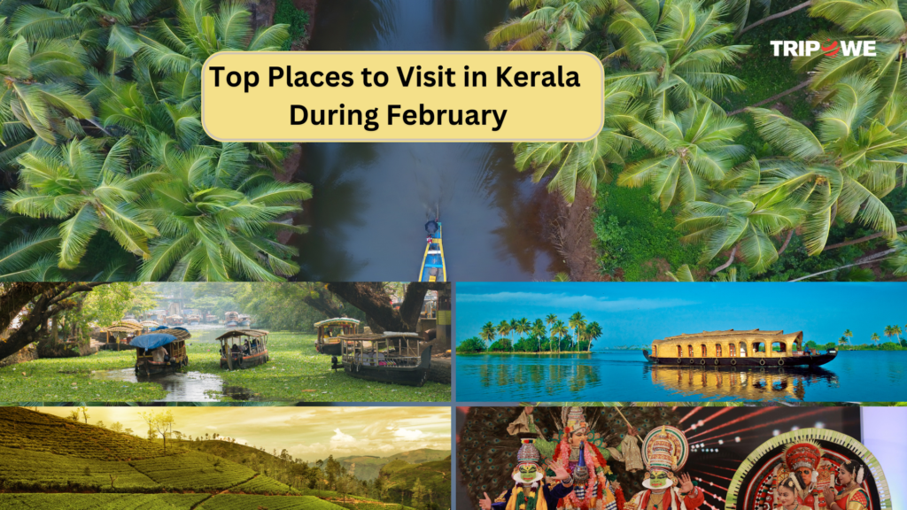 Places to visit in kerala in February