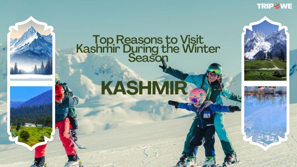 Top Reasons to Visit Kashmir During the Winter Season