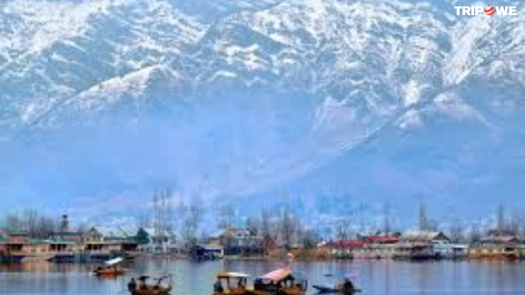 Reasons to Visit Kashmir During the Winter Season