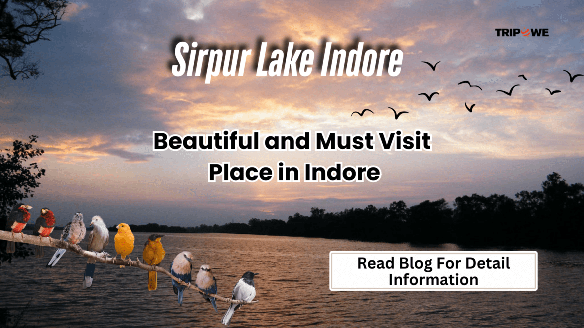 Sirpur Lake Indore-Tripowe.com