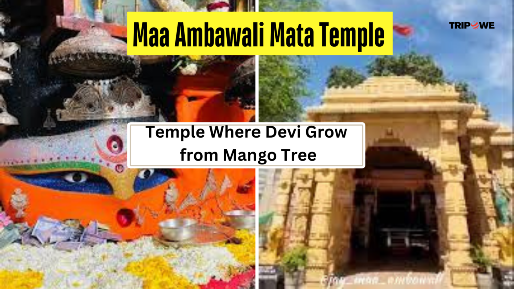 Maa Ambawali Mata Temple-Tripowe.com