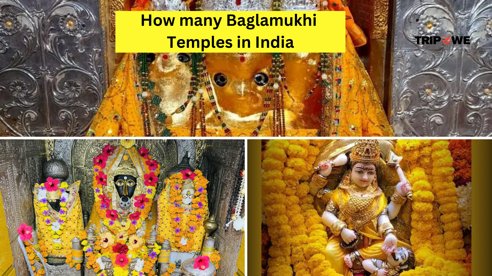 Baglamukhi Temple-Tripowe.com