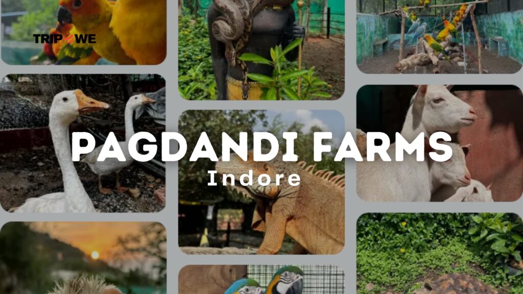 Pagdandi Farms Indore -Tripowe.com