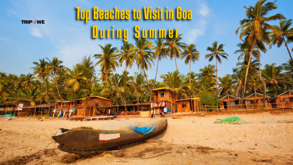 Goa in Summer 2025-Tripowe.com