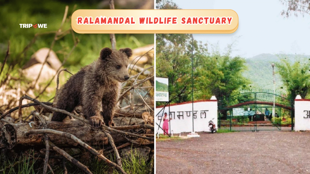 Ralamandal Wildlife Sanctuary-Tripowe.com