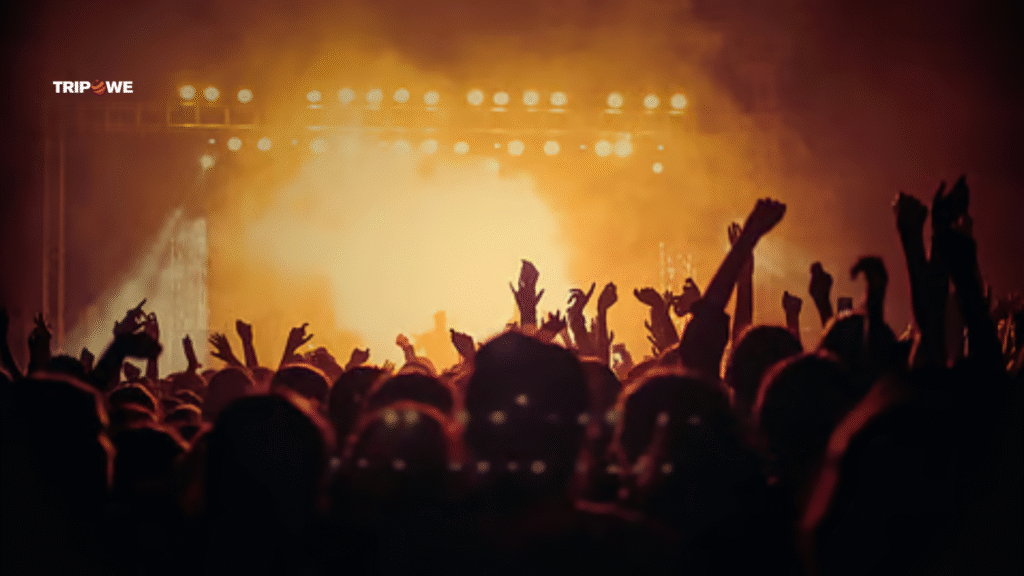 Top Upcoming Concert in delhi -Tripowe.com