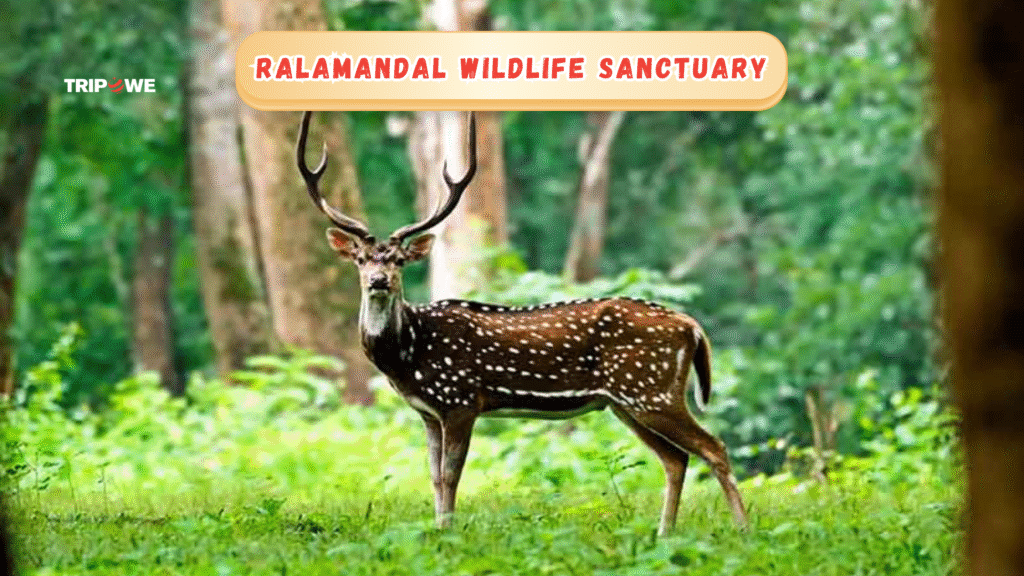Ralamandal Wildlife Sanctuary-Tripowe.com