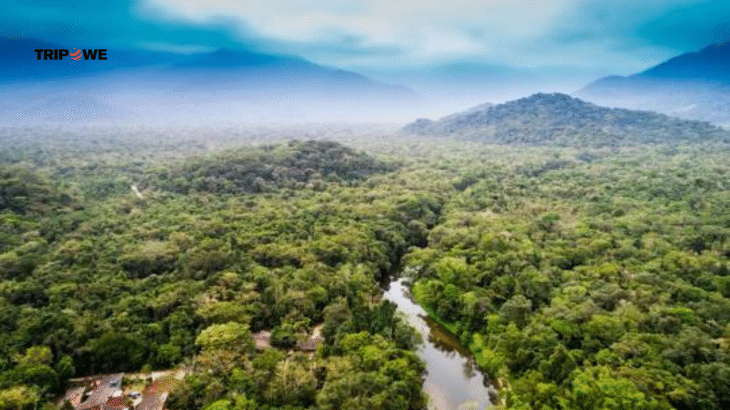 Intersting Facts About Brazil -Tripowe.com