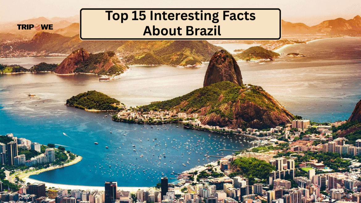 Intersting Facts About Brazil -Tripowe.com