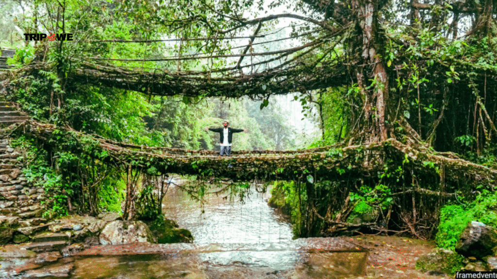 Best Places to visit in india with family-tripowe.com