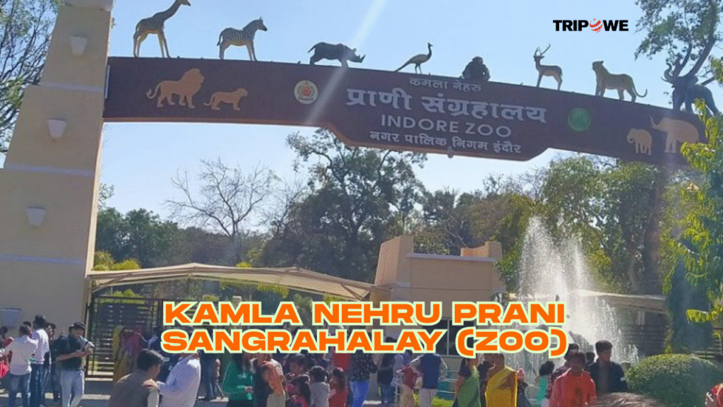 Kamla Nehru Prani Sangrahalay tripowe.com