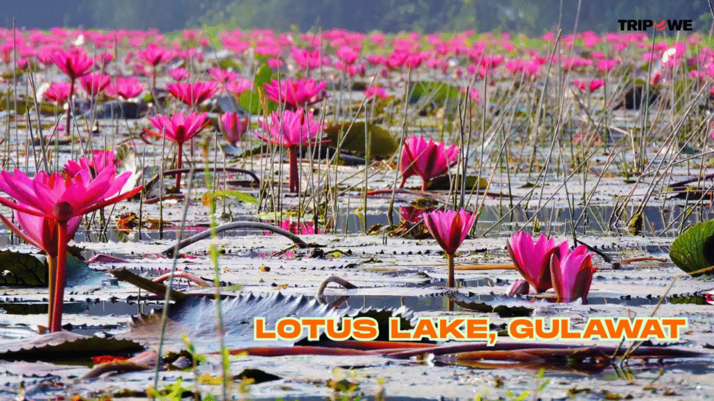 Attractions Near Indore tripowe.com  