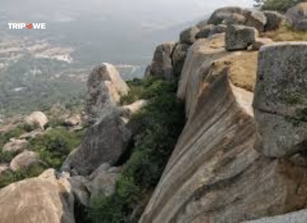 Places to Visit Near Bangalore Under 100 Kms