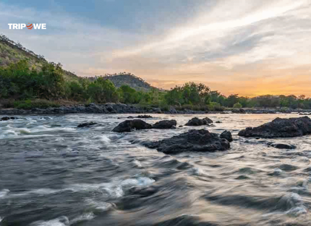 Places to Visit Near Bangalore Under 100 Kms