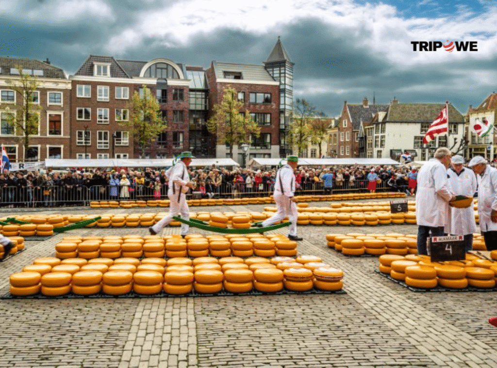Best things to do in netherlands 2025