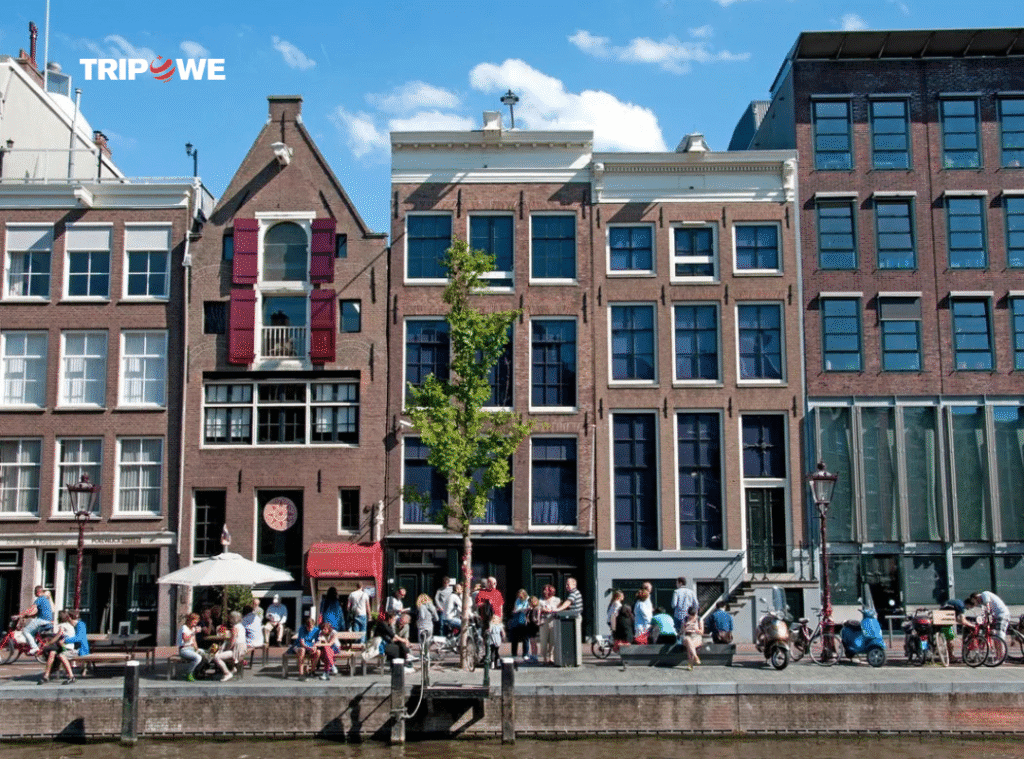 Best things to do in netherlands 2025