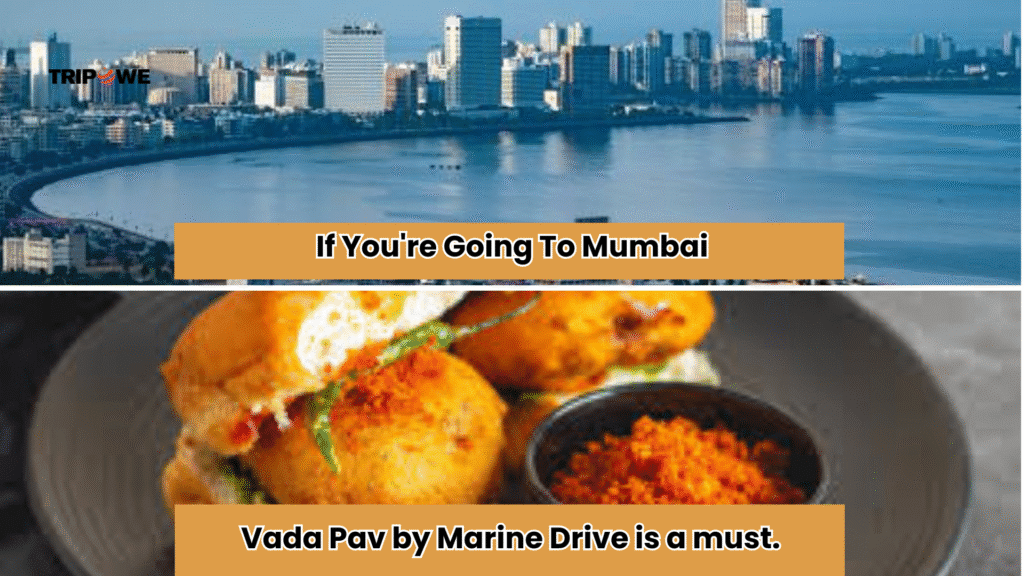 famous dishes in india-Tripowe.com