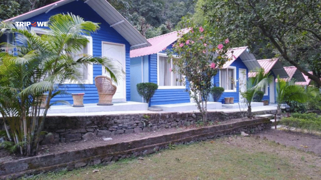 Best Camping Sites in Rishikesh-Tripowe.com