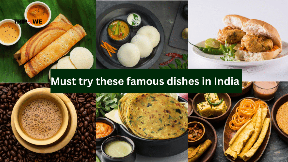 famous dishes in india-Tripowe.com