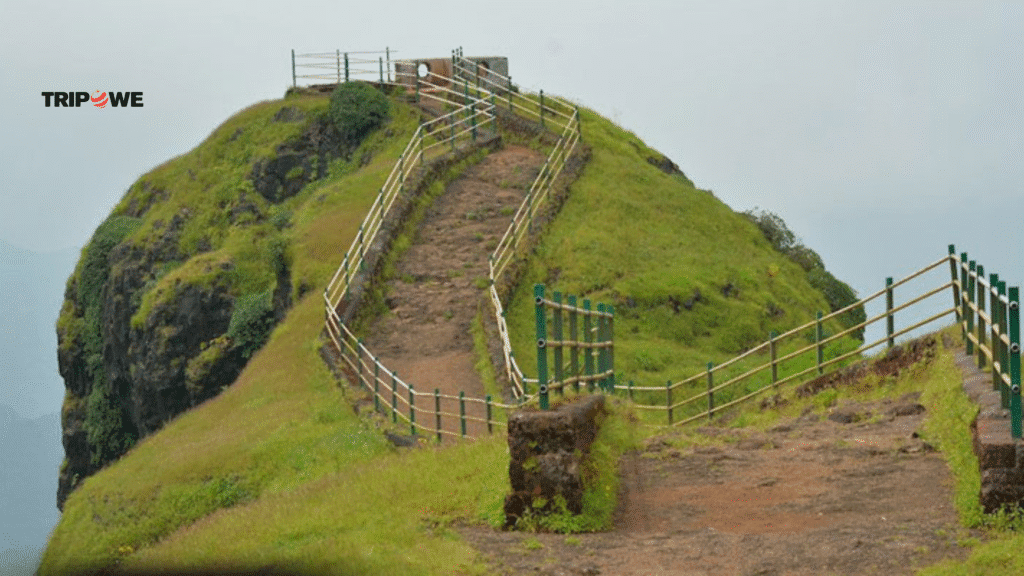 Best Places To Visit in Mahabaleshwar for 3 day -Tripowe.com